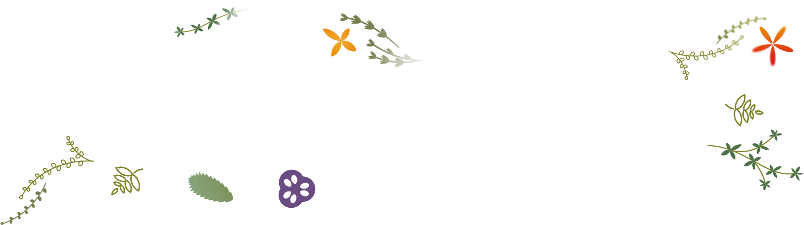 ГипотиреоНорм - для улучшения  функционального состояния щитовидной железы при ее пониженной функции