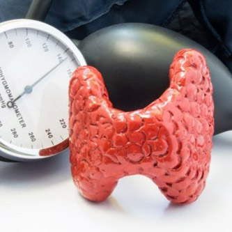 Способствует эффективной выработке гормонов щитовидной железой.