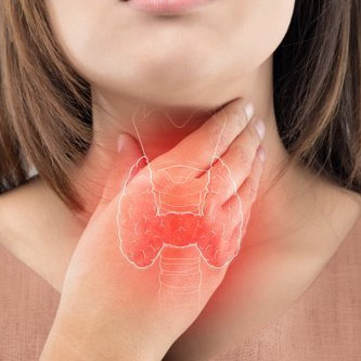 Защищает щитовидную железу от заболеваний.