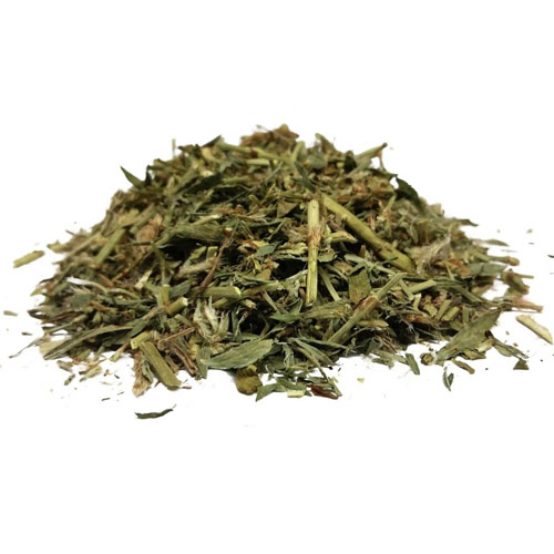 Горец птичий