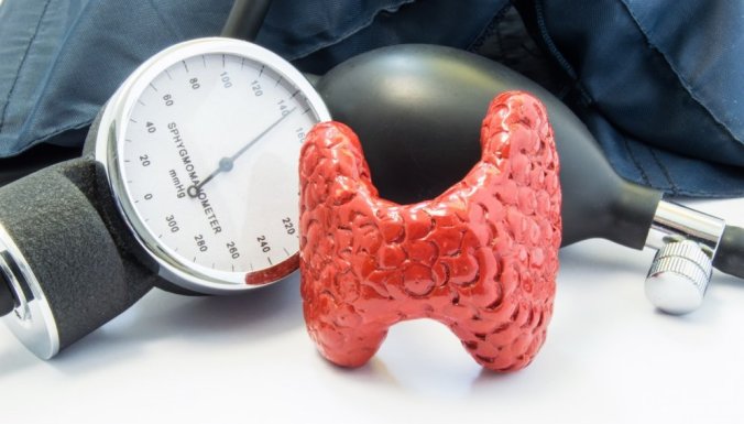 Щитовидная железа. «Дирижер», который управляет нашим организмом.